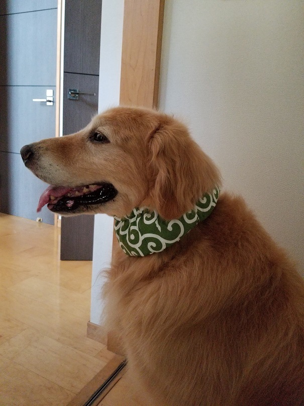 気持ちだけでも